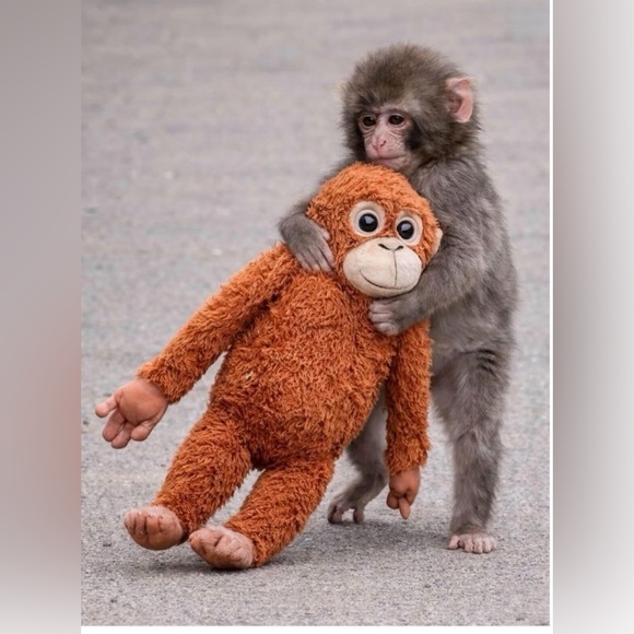 IKEA DJUNGELSKOG Orangutan Plush Viral Stuffed Animal Plushie 24” Punch Monkey - Picture 4 of 5